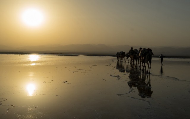 Zdj cia: Afar, Etiopia PN, 64,Solne jezioro Assal , ETIOPIA Zdj cia: Afar, Etiopia PN, 64,Solne jezioro Assal , ETIOPIA