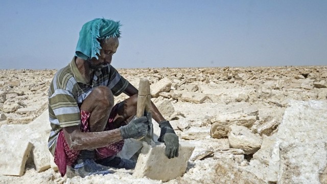 Zdj cia: Afar, Etiopia PN, 67,Solnik, ETIOPIA Zdj cia: Afar, Etiopia PN, 67,Solnik, ETIOPIA