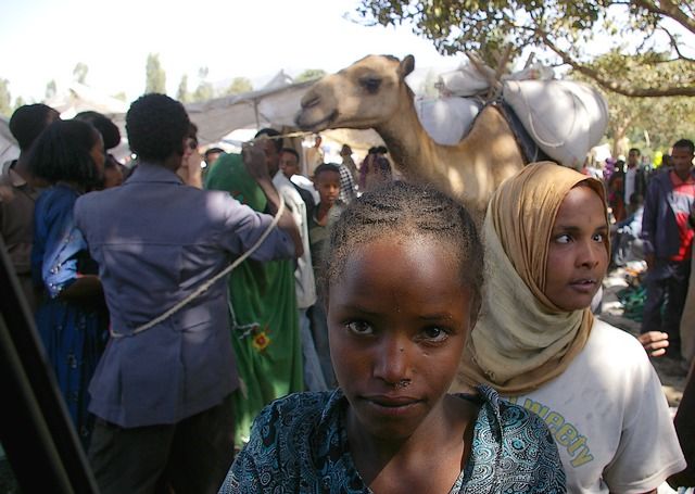 Zdjęcia: gdzieś blisko Addis Abbeby, Północna - środkowa Etiopia, Wyłączona z misz-maszu, ETIOPIA Zdjęcia: gdzieś blisko Addis Abbeby, Północna - środkowa Etiopia, Wyłączona z misz-maszu, ETIOPIA