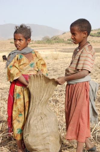 Zdjęcia: Gonder, Moja Etiopia 12, ETIOPIA Zdjęcia: Gonder, Moja Etiopia 12, ETIOPIA