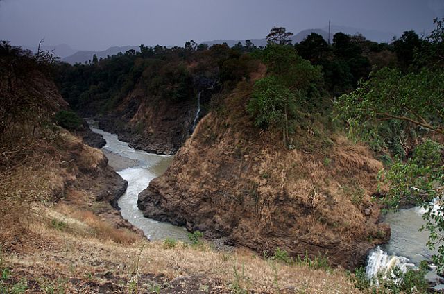 Zdjęcia: BAHIR DAR, Amhara, BAHIR DAR, ETIOPIA Zdjęcia: BAHIR DAR, Amhara, BAHIR DAR, ETIOPIA