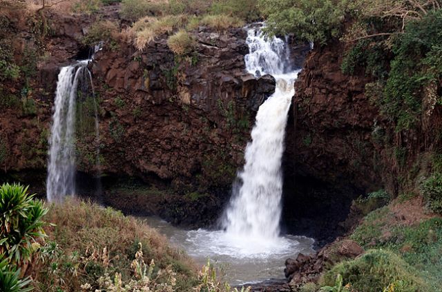 Zdjęcia: BAHIR DAR, Amhara, BAHIR DAR, ETIOPIA Zdjęcia: BAHIR DAR, Amhara, BAHIR DAR, ETIOPIA