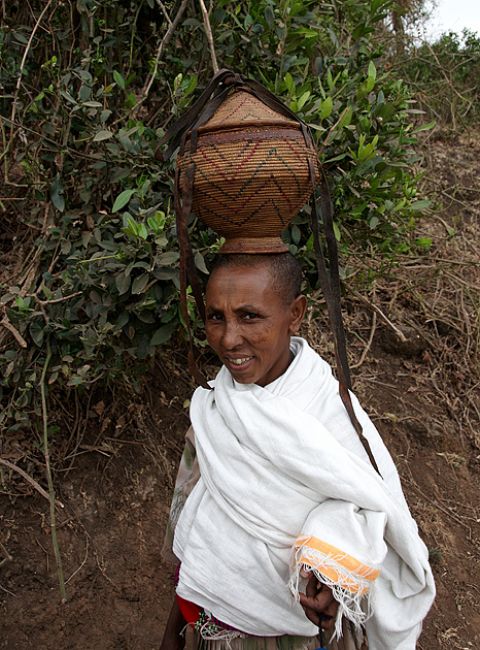 Zdjęcia: BAHIR DAR, Amhara, BAHIR DAR, ETIOPIA Zdjęcia: BAHIR DAR, Amhara, BAHIR DAR, ETIOPIA
