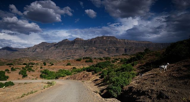 Zdjęcia: BAHIR DAR-LALIBELA, Amhara, BAHIR DAR-LALIBELA, ETIOPIA Zdjęcia: BAHIR DAR-LALIBELA, Amhara, BAHIR DAR-LALIBELA, ETIOPIA