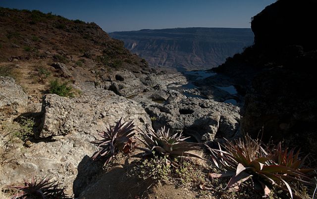 Zdjęcia: Okolice Kombolchy, Północna Etiopia, LALIBELA - KOMBOLCHA - ADIS ABEBA, ETIOPIA Zdjęcia: Okolice Kombolchy, Północna Etiopia, LALIBELA - KOMBOLCHA - ADIS ABEBA, ETIOPIA