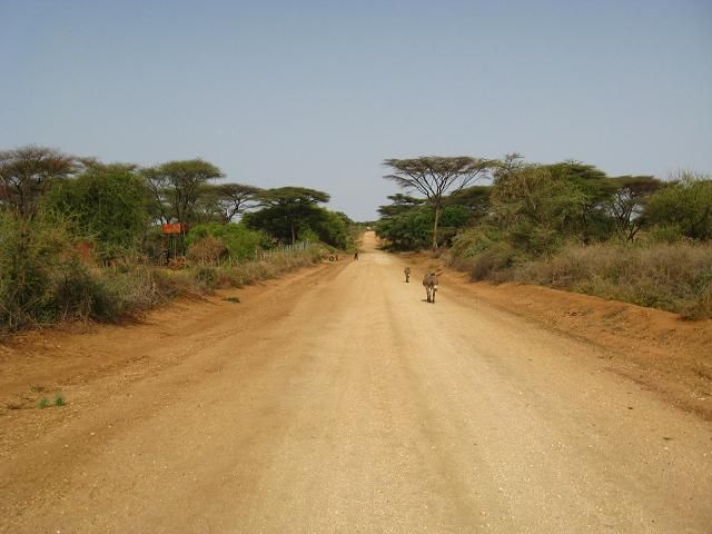 Zdjęcia: okolice Turmi, Droga z Turmi do Weyto, ETIOPIA Zdjęcia: okolice Turmi, Droga z Turmi do Weyto, ETIOPIA