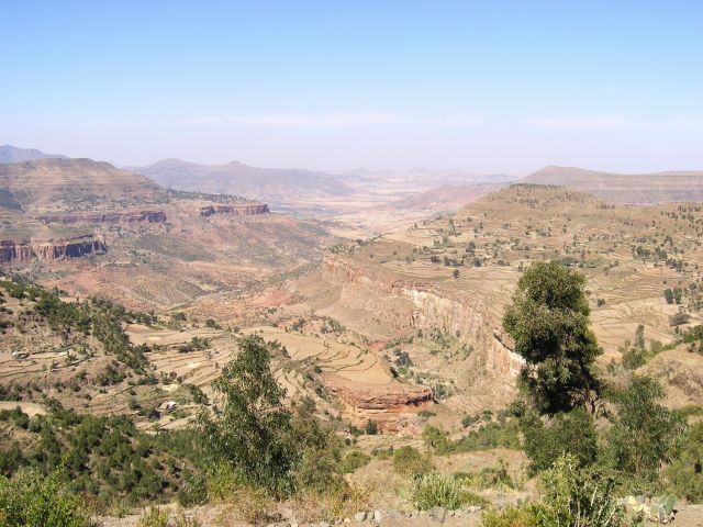 Zdjęcia: Tekeze Gore, =, ETIOPIA Zdjęcia: Tekeze Gore, =, ETIOPIA