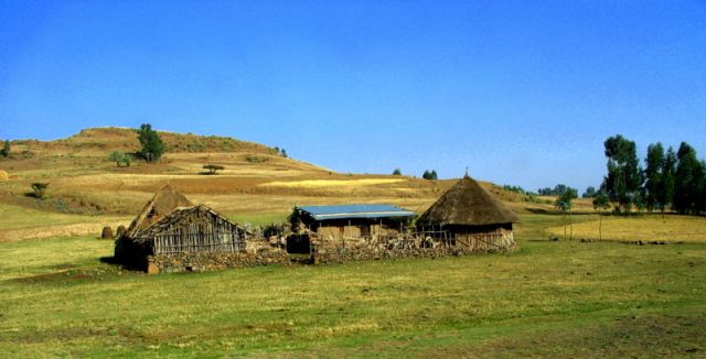 Zdjęcia: Siemen, #, ETIOPIA Zdjęcia: Siemen, #, ETIOPIA