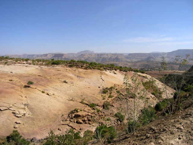 Zdjęcia: Siemen, ##, ETIOPIA Zdjęcia: Siemen, ##, ETIOPIA