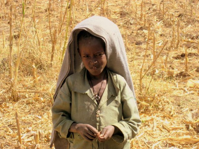 Zdjęcia: Adwa, ####, ETIOPIA Zdjęcia: Adwa, ####, ETIOPIA