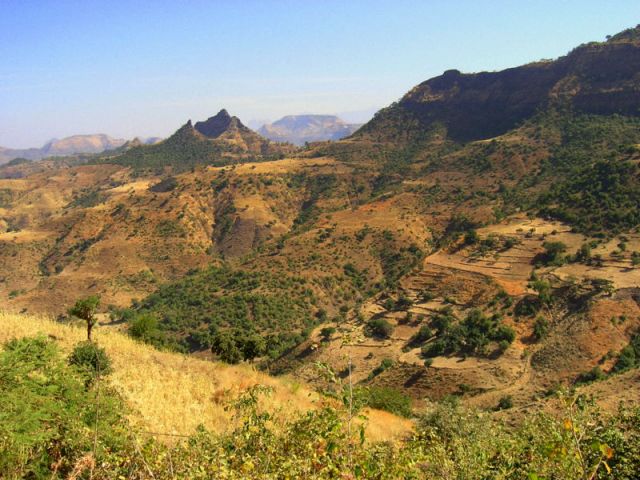 Zdjęcia: Adwa, vvvvvvv, ETIOPIA Zdjęcia: Adwa, vvvvvvv, ETIOPIA