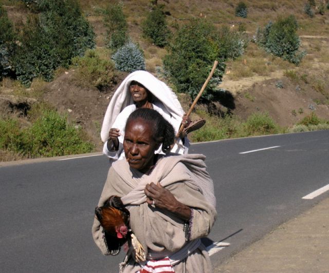 Zdjęcia: Bahir Daru, ---, ETIOPIA Zdjęcia: Bahir Daru, ---, ETIOPIA
