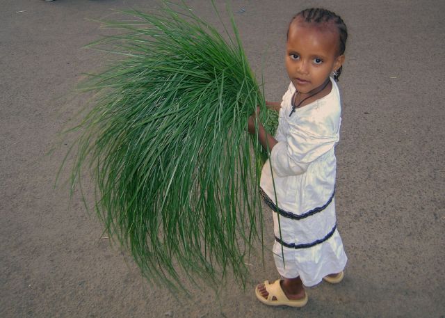 Zdjęcia: Gonder, pn. Etiopia, Zielono mi, ETIOPIA Zdjęcia: Gonder, pn. Etiopia, Zielono mi, ETIOPIA