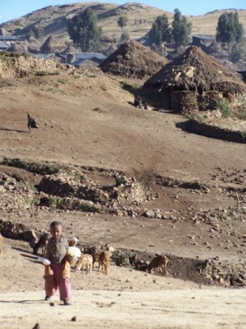 Zdjęcia: PN Siemen, Siemen Mountains - wioska, ETIOPIA Zdjęcia: PN Siemen, Siemen Mountains - wioska, ETIOPIA