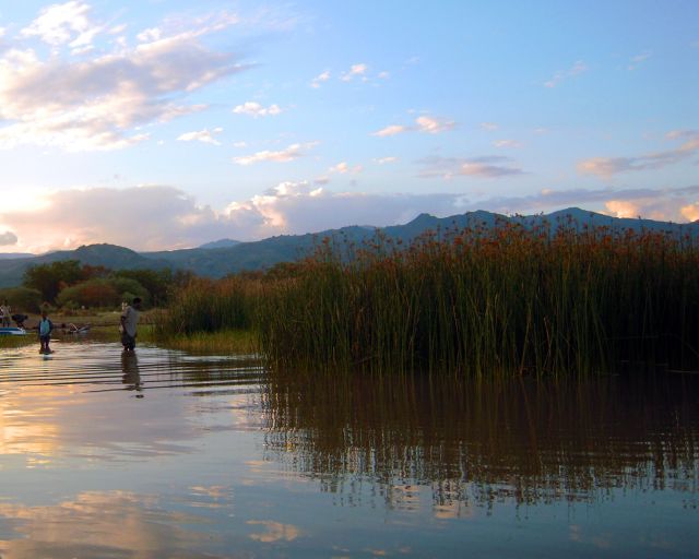 Zdjęcia: Jezioro Chamo, pd. Etiopia, Nechisar National Park, Chamo Lake, ETIOPIA Zdjęcia: Jezioro Chamo, pd. Etiopia, Nechisar National Park, Chamo Lake, ETIOPIA
