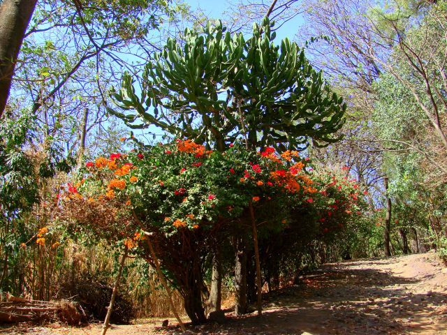 Zdjęcia: Gandor, Gandor, Kolorowo, ETIOPIA Zdjęcia: Gandor, Gandor, Kolorowo, ETIOPIA