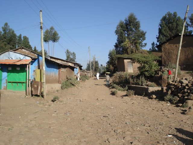 Zdjęcia: Debark, Amhara, Ulica w Debark, ETIOPIA Zdjęcia: Debark, Amhara, Ulica w Debark, ETIOPIA