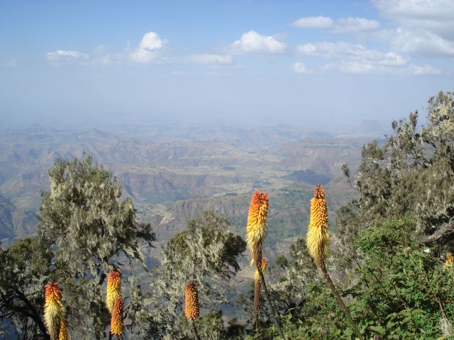 Zdjęcia: szlak Sankaber-Geech, Amhara, Park Narodowy Gór Simien, ETIOPIA Zdjęcia: szlak Sankaber-Geech, Amhara, Park Narodowy Gór Simien, ETIOPIA