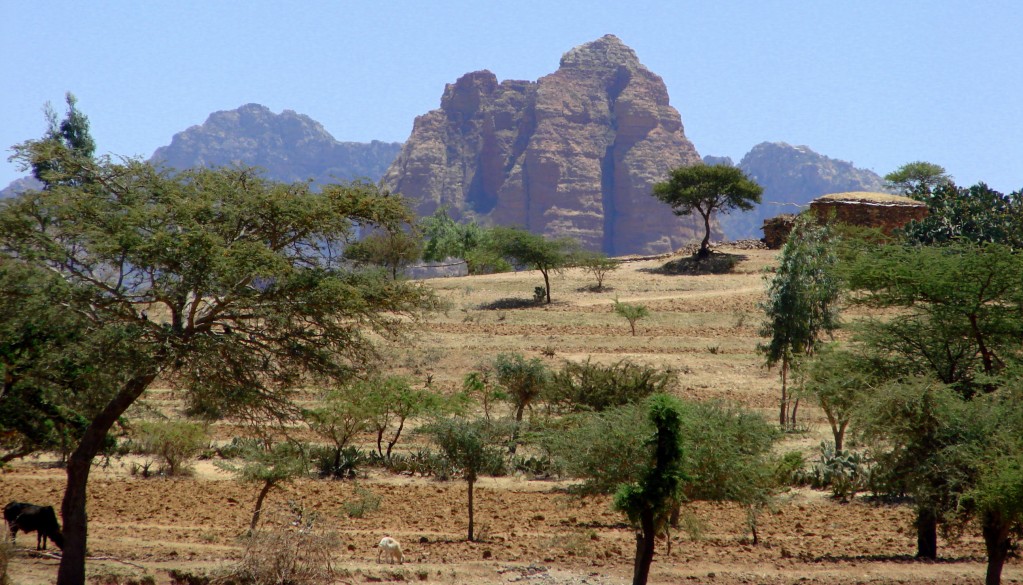 Zdjęcia: Etiopia, Etiopia, zielono , ETIOPIA Zdjęcia: Etiopia, Etiopia, zielono , ETIOPIA