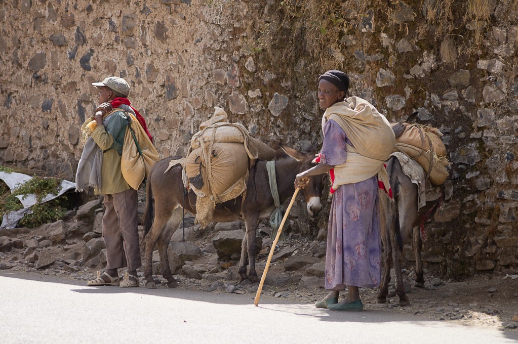 Zdjęcia: Gondar, Gondar, Transport, ETIOPIA Zdjęcia: Gondar, Gondar, Transport, ETIOPIA