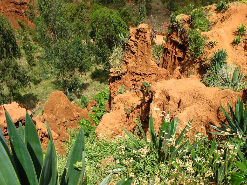 Zdjęcia: Gesergio, "Nowy York" - etiopski Manhattan, ETIOPIA Zdjęcia: Gesergio, "Nowy York" - etiopski Manhattan, ETIOPIA