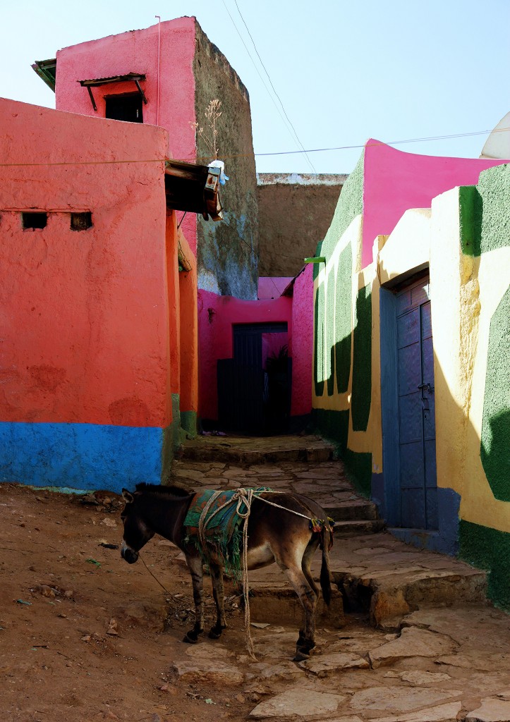 Zdjęcia: Harar, Harari, Zaparkowany, ETIOPIA Zdjęcia: Harar, Harari, Zaparkowany, ETIOPIA
