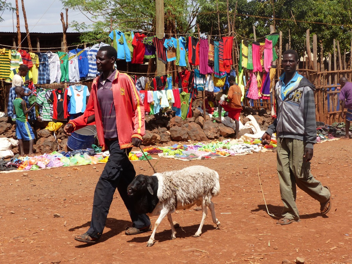 Zdjęcia: Konso, DOLINA OMO, Targ niedaleko Konso, ETIOPIA Zdjęcia: Konso, DOLINA OMO, Targ niedaleko Konso, ETIOPIA