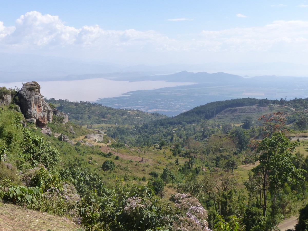 Zdjęcia: Chamo Lake, DOLINA OMO, Chamo Lake, ETIOPIA Zdjęcia: Chamo Lake, DOLINA OMO, Chamo Lake, ETIOPIA
