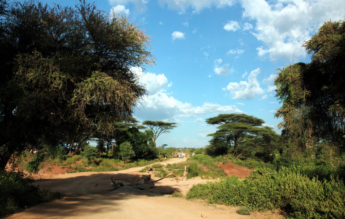 Zdjęcia: Turmi, Dolina Omo, Droga, ETIOPIA Zdjęcia: Turmi, Dolina Omo, Droga, ETIOPIA
