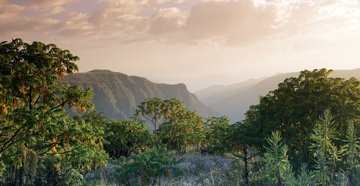 Zdjęcia: Góry Simien, Amhara , 1,Góry Simien, ETIOPIA Zdjęcia: Góry Simien, Amhara , 1,Góry Simien, ETIOPIA