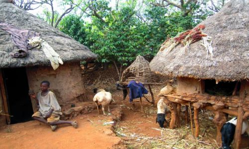 Zdjecie ETIOPIA / Pd. Etiopia / Wioska ludu konso / Domostwo