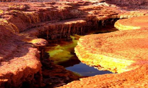 Zdjcie ETIOPIA / Afar / Dallol / Naciekowe kolumnady