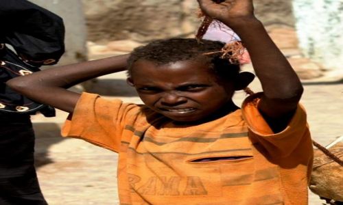 Zdjcie ETIOPIA / Oromia / Harar / Zniesmaczenie