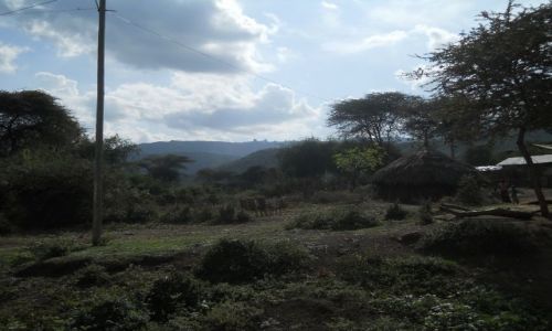 Zdjecie ETIOPIA / na poudnie od addis abeby / przy drodze / wioska