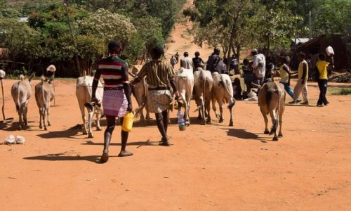 Zdjcie ETIOPIA / Dolina Omo / Key Afar / Ulica