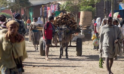 Zdjecie ETIOPIA / okolica Addis Abeby / jaka wioska, a nawet miasteczko / Normalne ycie