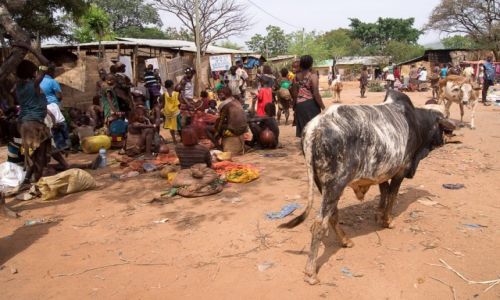 Zdjcie ETIOPIA / Dolina Omo / Dimeka / Targ