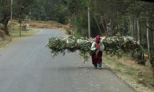 Zdjecie ETIOPIA / Pnoc Etiopii / Gdzie po drodze / Kobieca dola