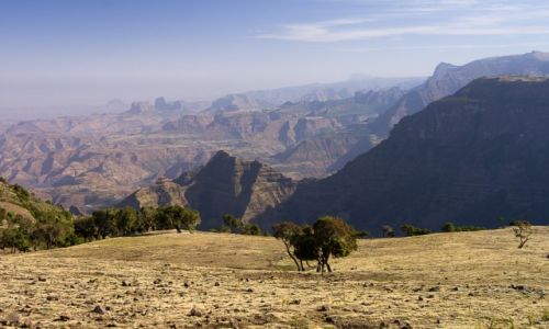 Zdjecie ETIOPIA / Simien Mountains / Simien Mountains / Widok z polany