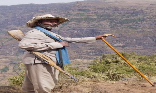 Zdjecie ETIOPIA / Simien Mountains / Simien Mountains / Skaut do ochrony turysty