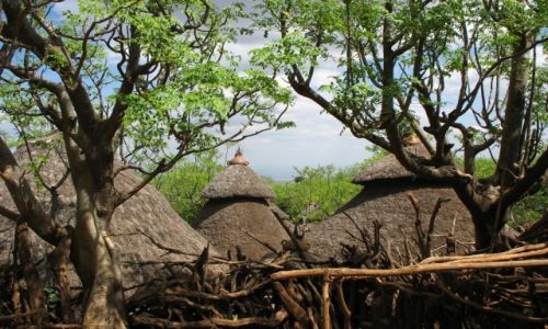 Zdjęcie ETIOPIA / - / nad OMO / OMO - wioska Konso