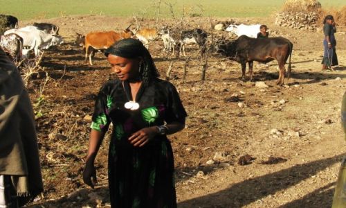 Zdjcie ETIOPIA / Pnocna Etiopia / W drodze do Desje / Pasterka