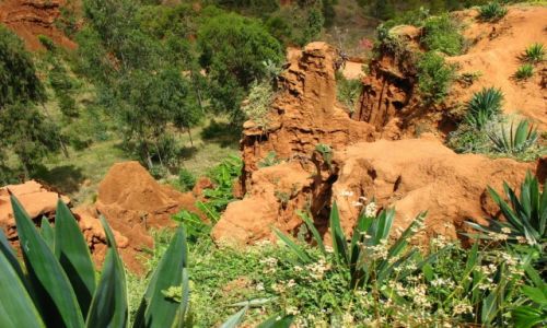 Zdjcie ETIOPIA / - / Gesergio / 