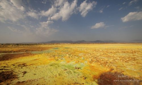 Zdjcie ETIOPIA / Dallol / Dallol / Dallol