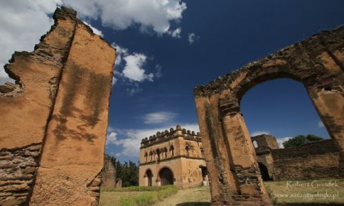 Zdjcie ETIOPIA / Gonder / Gonder / Gonder