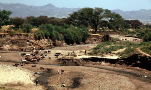 Zdjecie ETIOPIA / Dolina Omo / W drodze do wioski Dorze / Wyschnita rzeka