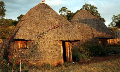 Zdjecie ETIOPIA / Dolina Omo / Wioska Dorze / Domki z nosem sonia