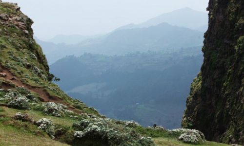 Zdjecie ETIOPIA / Amhara / Debra Sina / Gry Synaj, w jzyku amharskim Debra Sina