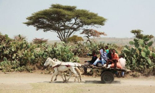Zdjecie ETIOPIA / Dolina Omo / Awassa / Wita wio