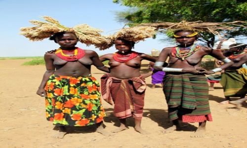 Zdjcie ETIOPIA / Dolina Omo / Wioska Dasench / Pora niw